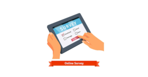 Online Survey