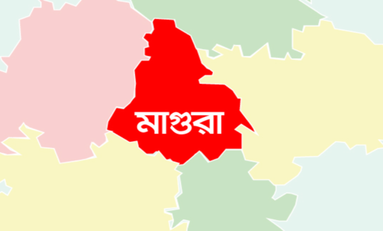 মাগুরা জেলার পৌরসভা কয়টি ও কি কি