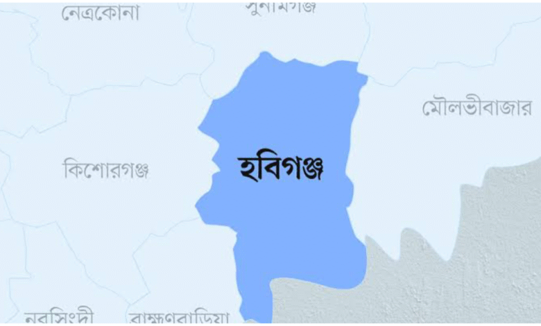 হবিগঞ্জ জেলার নামকরণের ইতিহাস