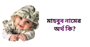 মাহবুব নামের ইসলামিক অর্থ কি | মাহবুব নামের ছেলেরা কেমন হয়