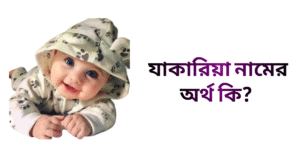 যাকারিয়া নামের ইসলামিক অর্থ কি | যাকারিয়া নামের ছেলেরা কেমন হয়