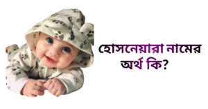 হোসনেয়ারা নামের ইসলামিক অর্থ কি | হোসনেয়ারা নামের মেয়েরা কেমন হয়
